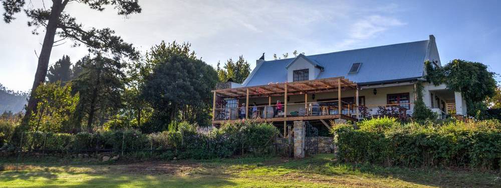 Shannon Vineyards & Wines