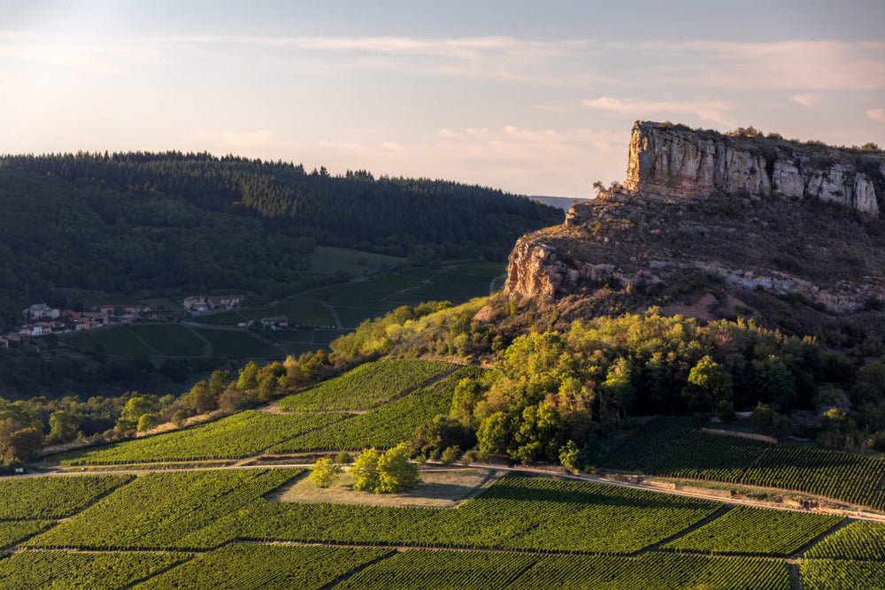 Domaine des Deux Roches