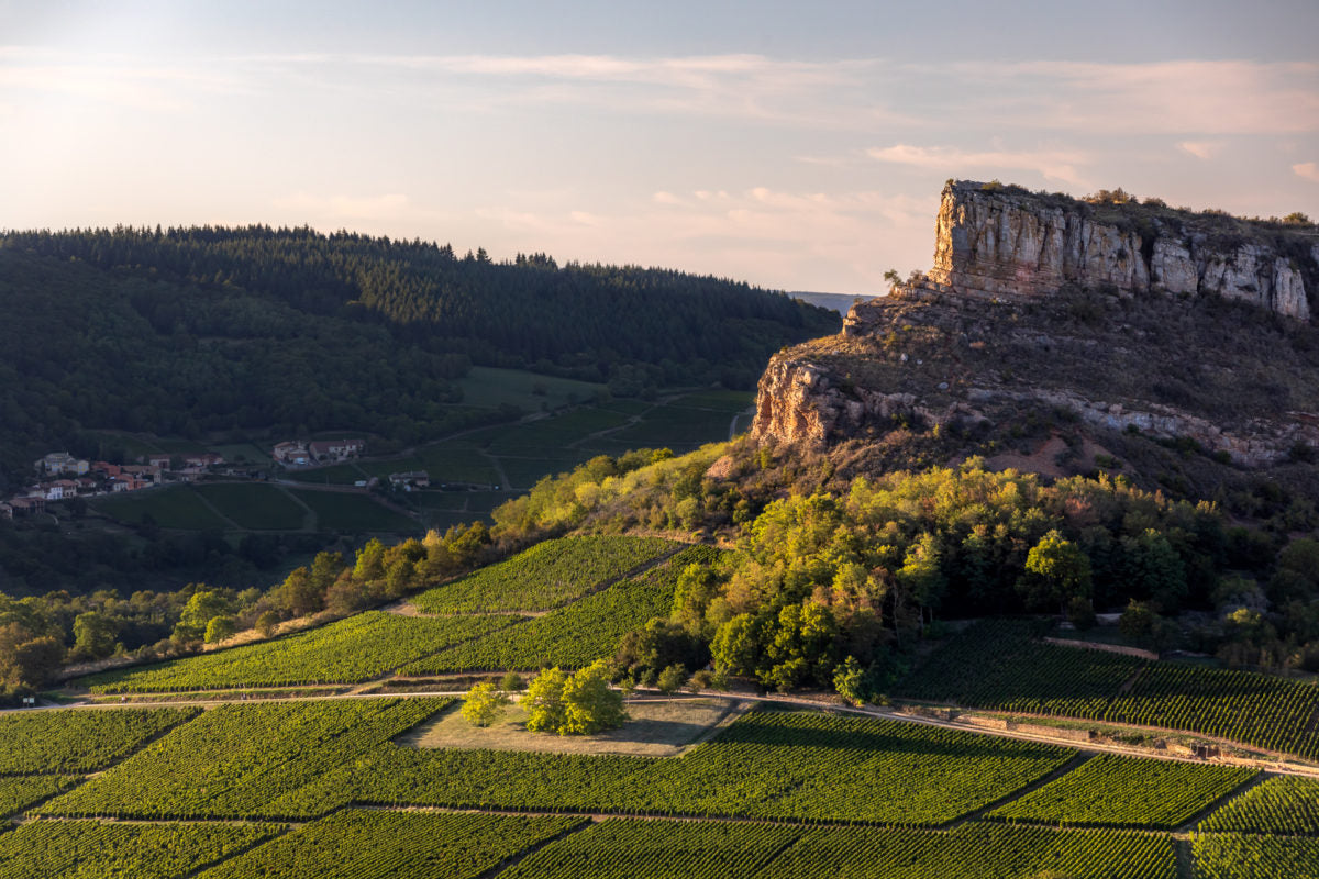 Domaine des Deux Roches