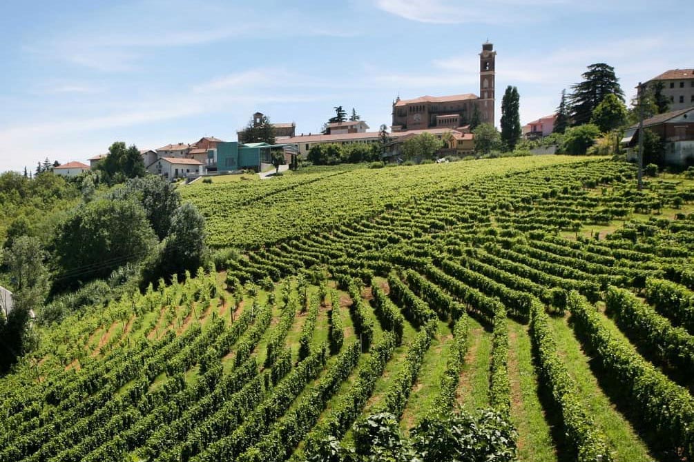 Moscato Paolo Saracco