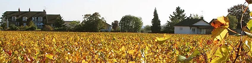 Domaine Henri Richard