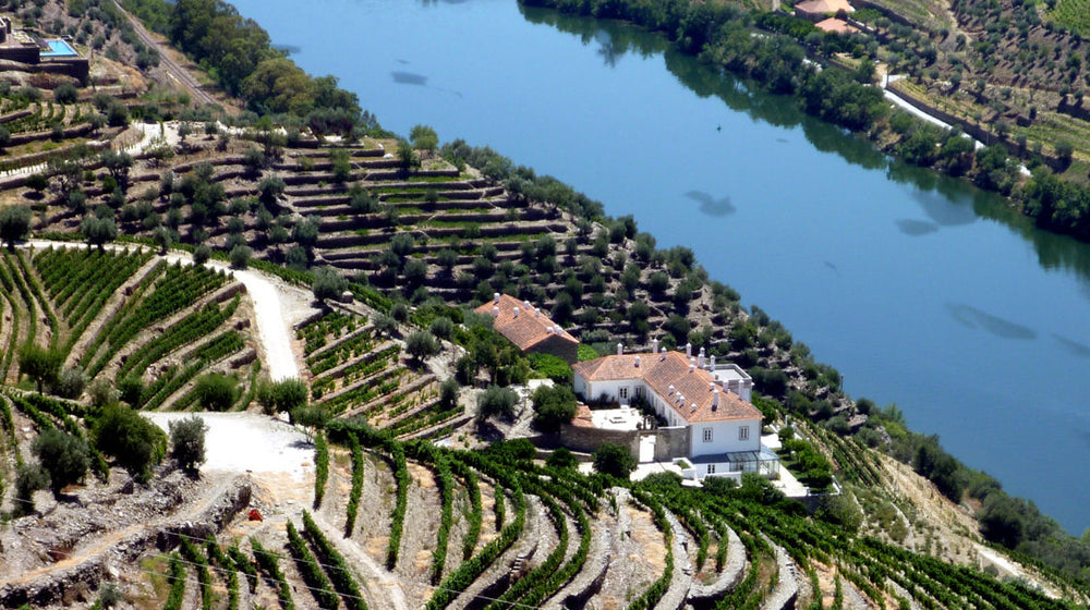Quinta da Romaneira