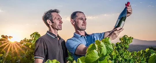 Domaine Grande Bellane