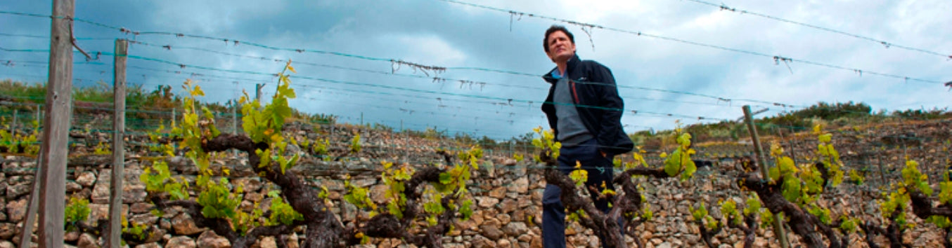 Bodegas Palacios Remondo