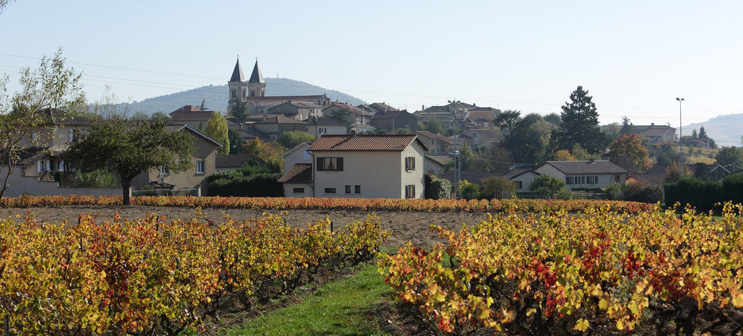 Domaine Antoine Sunier