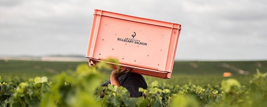 Billecart-Salmon Champagne House