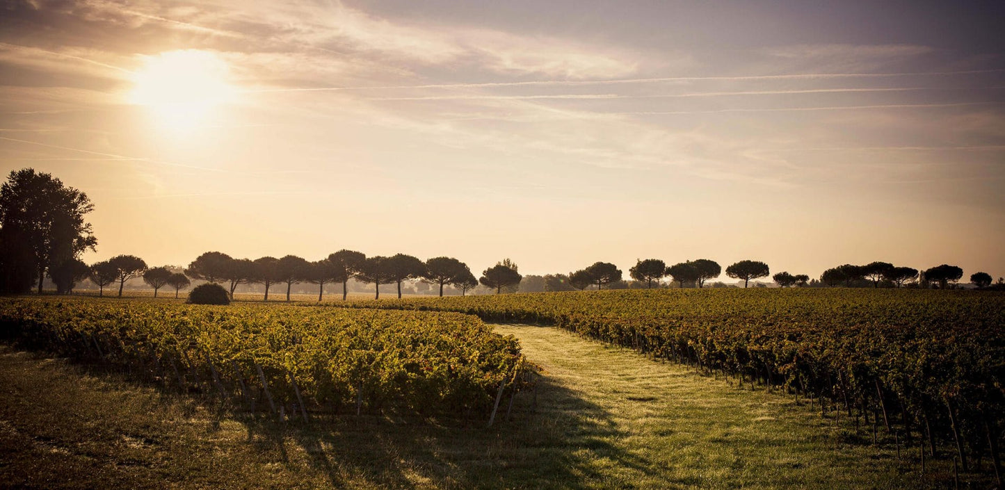 Edmond de Rothschild Heritage