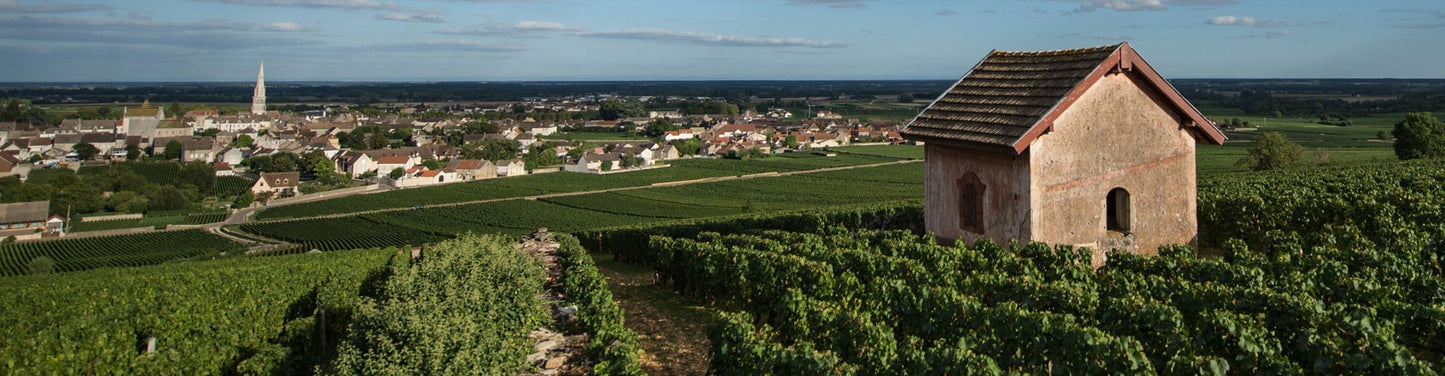 Domaine Michel Bouzereau et Fils