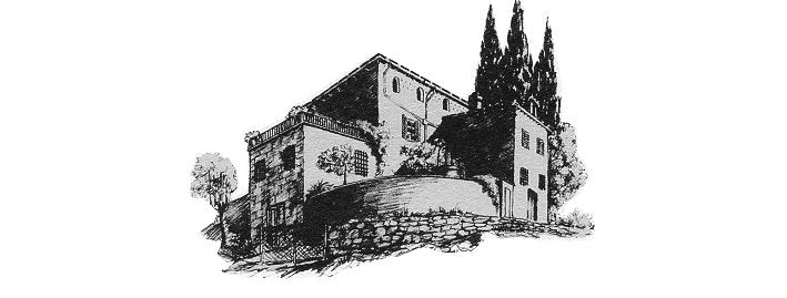 Fontodi, Chianti Classico