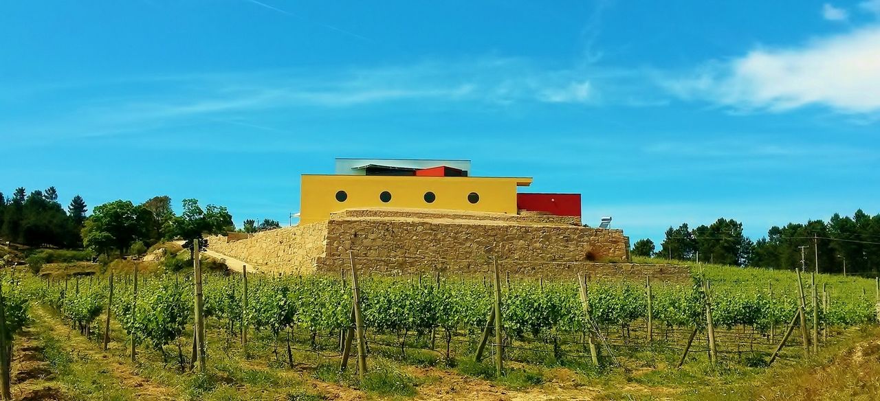 Santa Cristina, Marchesi Antinori
