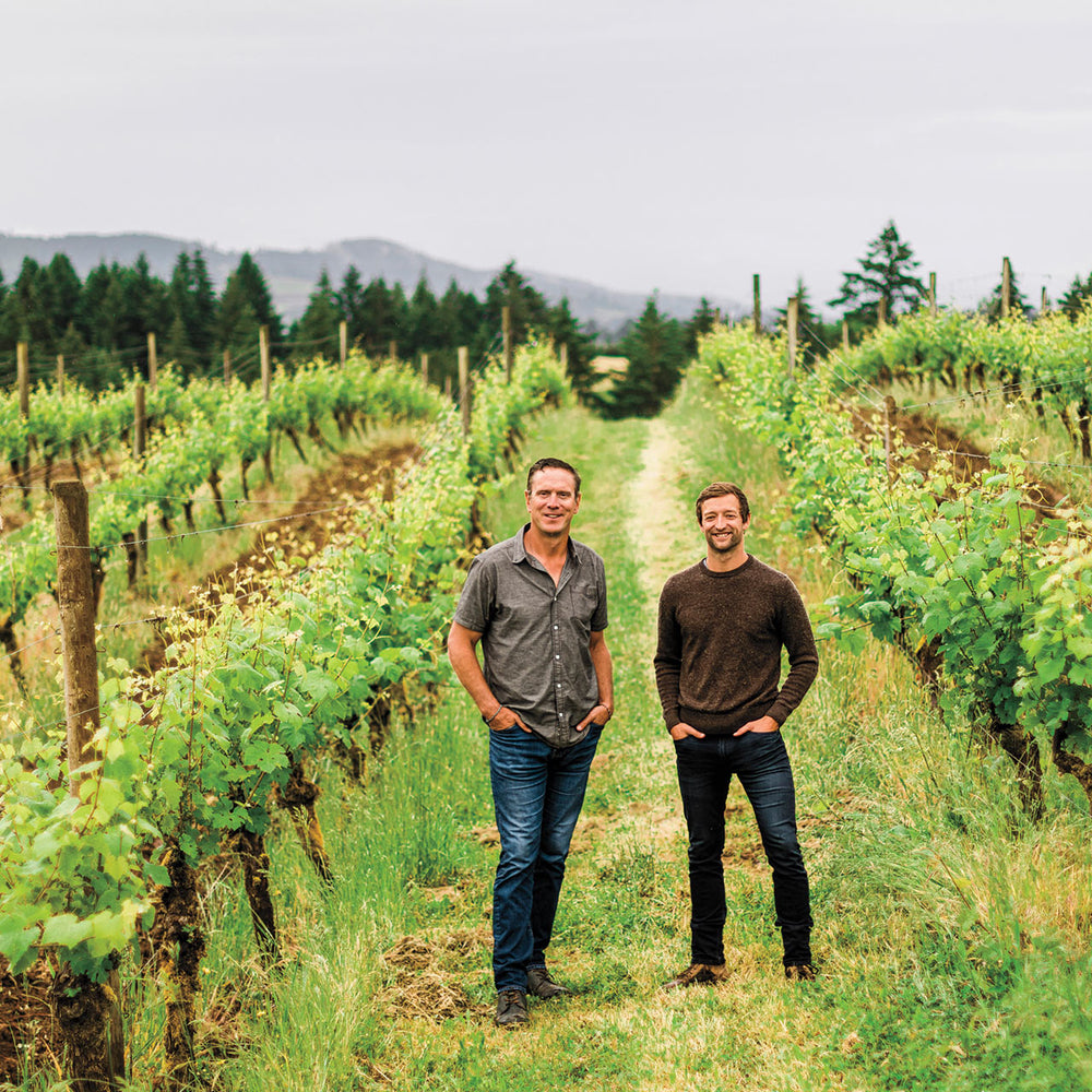 Bledsoe Family Winery