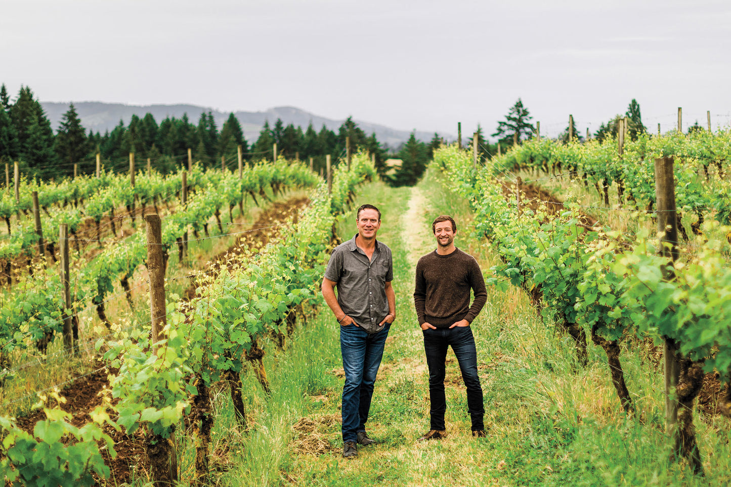 Bledsoe Family Winery