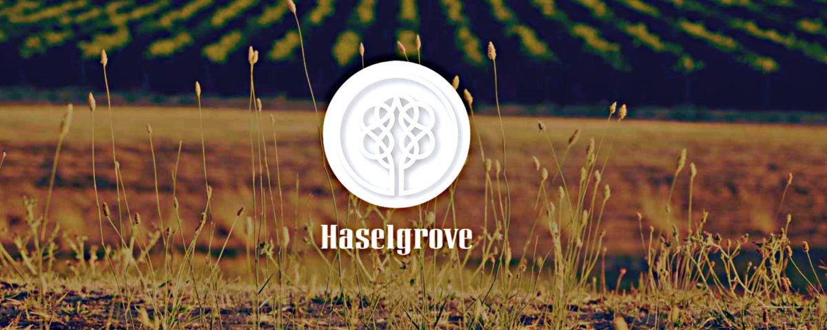 Haselgrove Wines