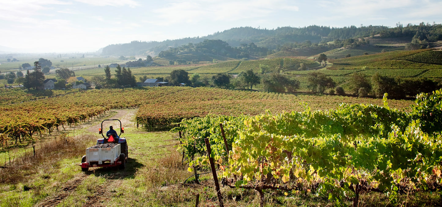 Seghesio Family Vineyards