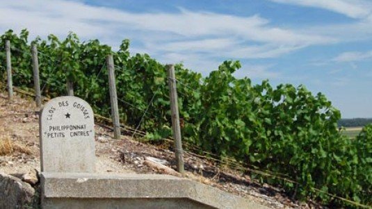 Champagne Philipponnat