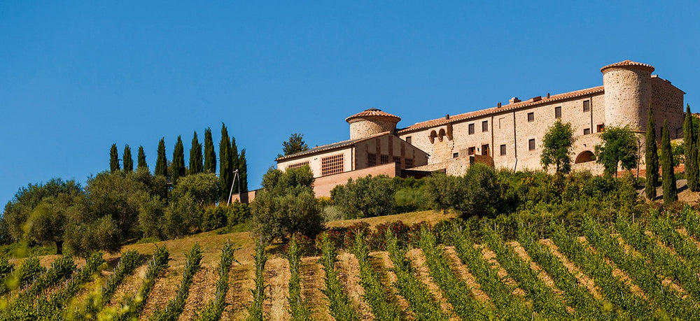 Castello ColleMassari, ColleMassari Wine Estates
