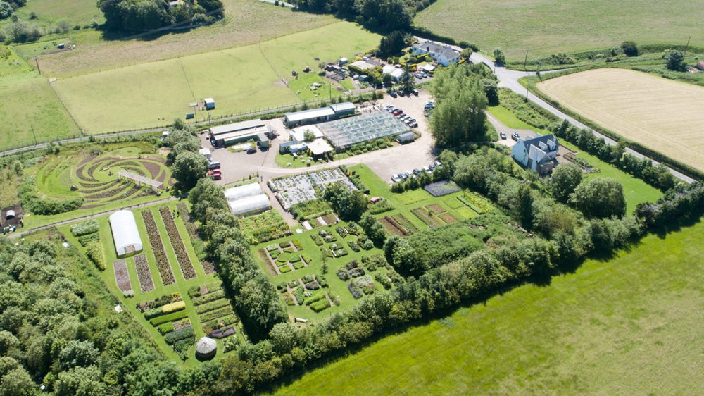 The Old Curiosity Distillery and Secret Herb Garden