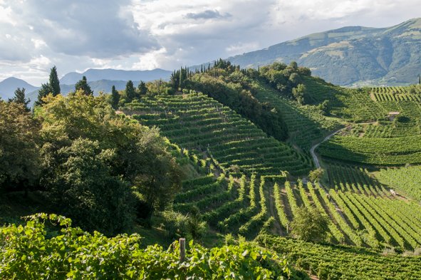 Val d'Oca