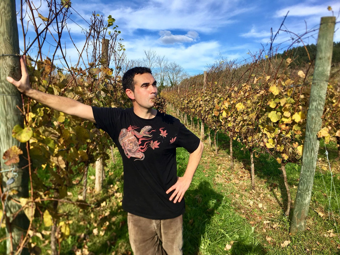 Oxer Wines