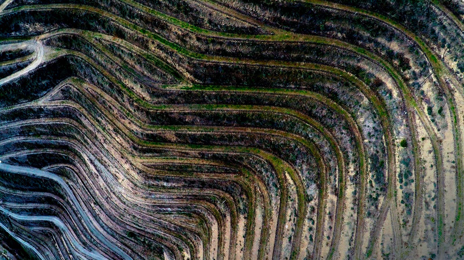 Merum Priorati | boundbywine SG – BoundbyWine