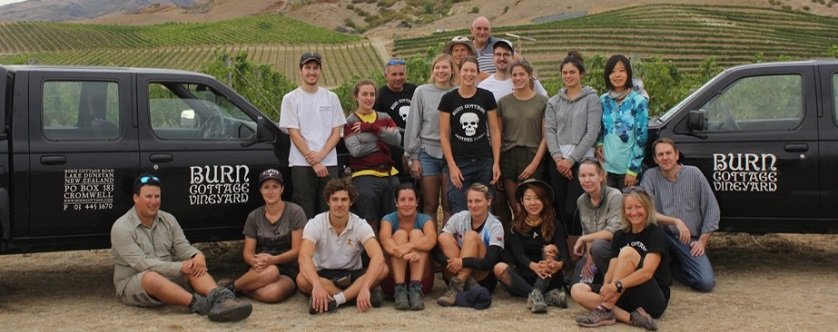 Burn Cottage Vineyard