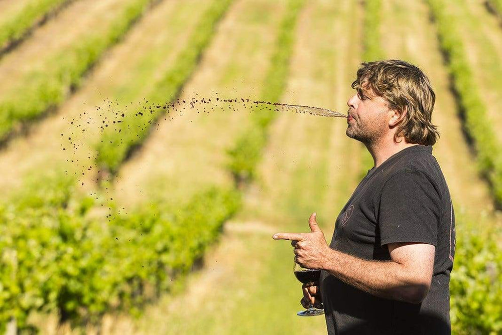 David Franz Cellardoor