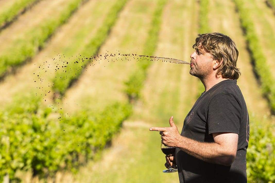 David Franz Cellardoor