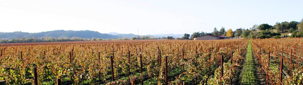 Domaine Patrice Moreux