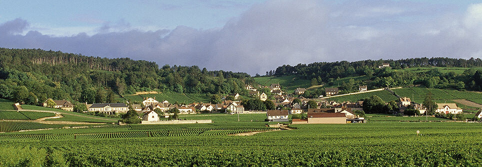 Domaine Henri Delagrange et Fils