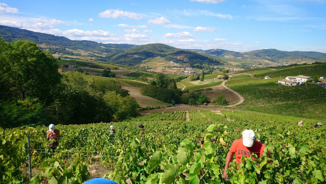 Domaine Anne-Sophie Dubois