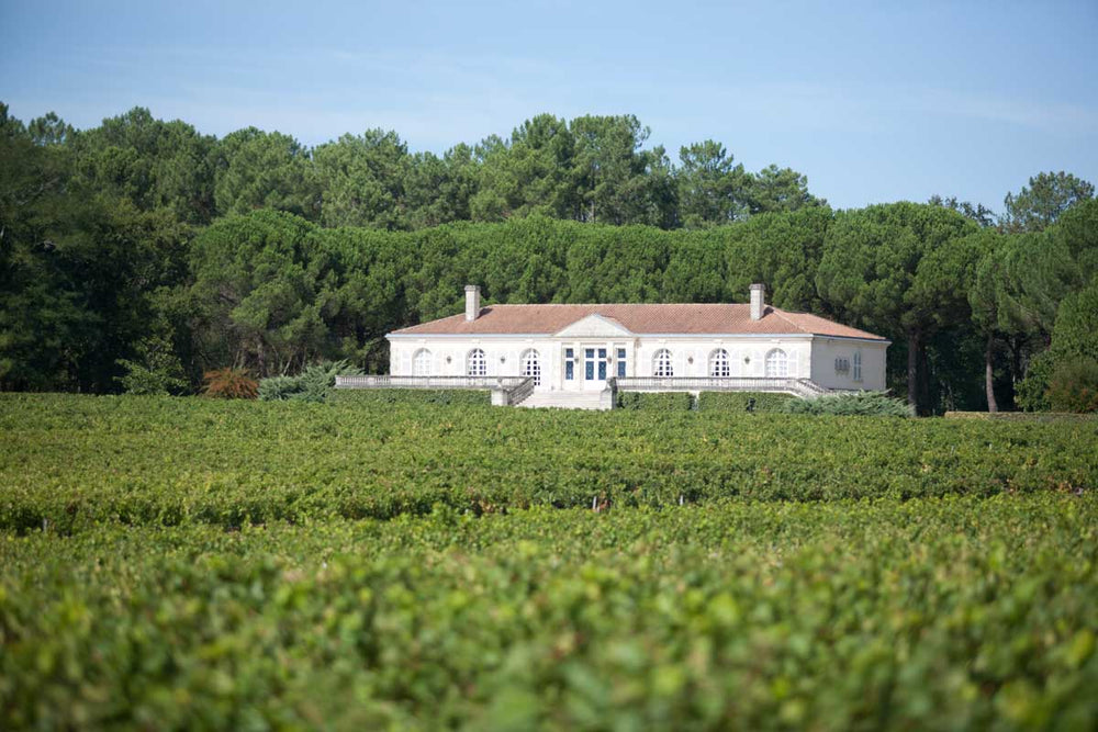 Château Caronne Ste Gemme