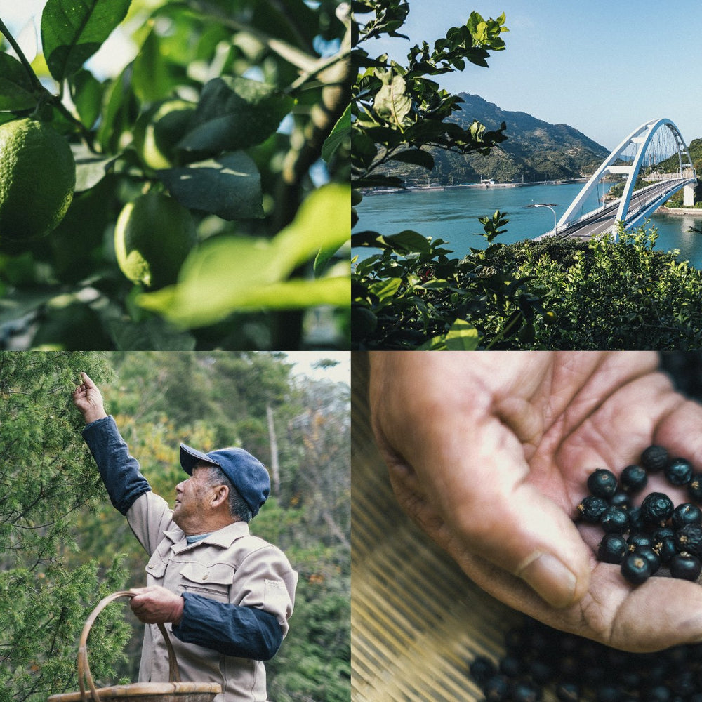 Sakurao Brewery and Distillery