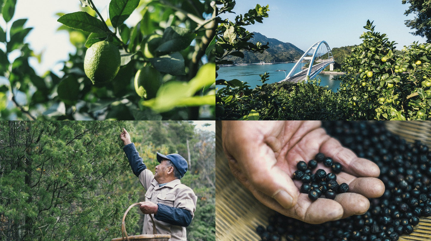 Sakurao Brewery and Distillery