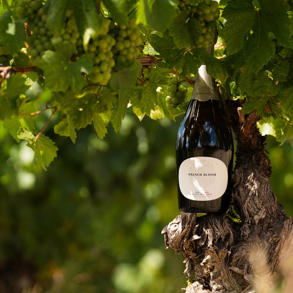 The Growing Trend of Non-Alcoholic Wines