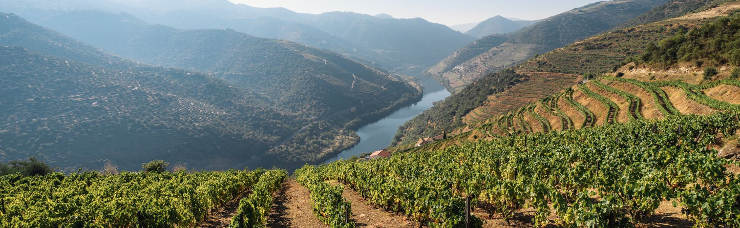 Maçanita Irmāos e Enólogos