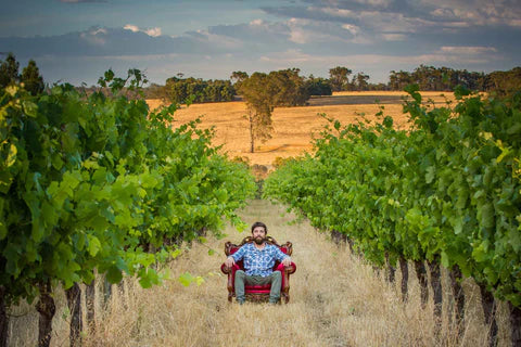 Freehand Natural Wine