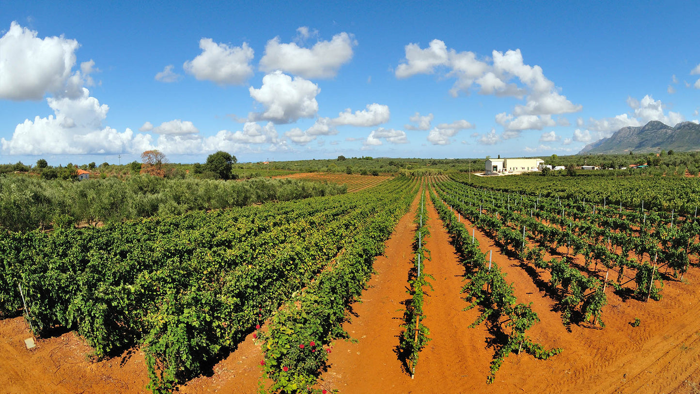 Panagiotopoulos Wines