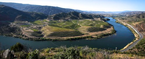 Quinta Do Vale Meão