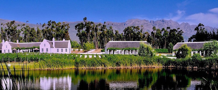 Rijk’s Wine Estate