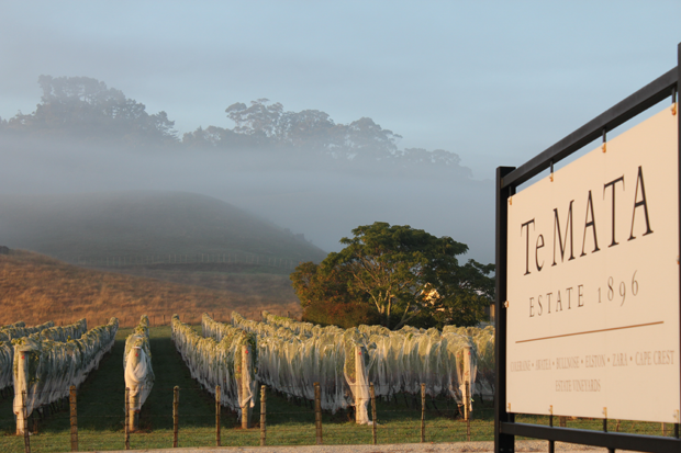 Te Mata Estate