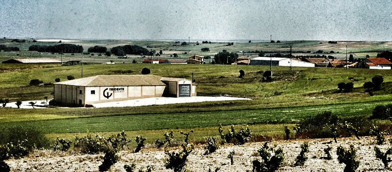 Bodegas Tridente