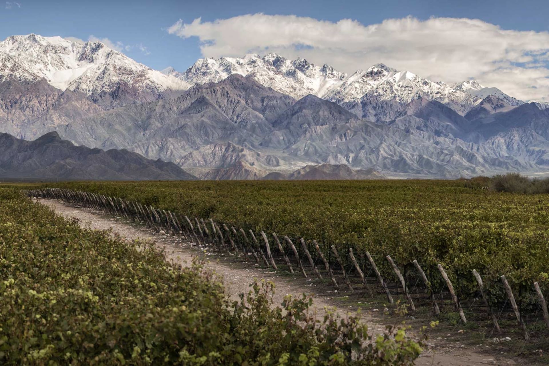 Trivento – BoundbyWine