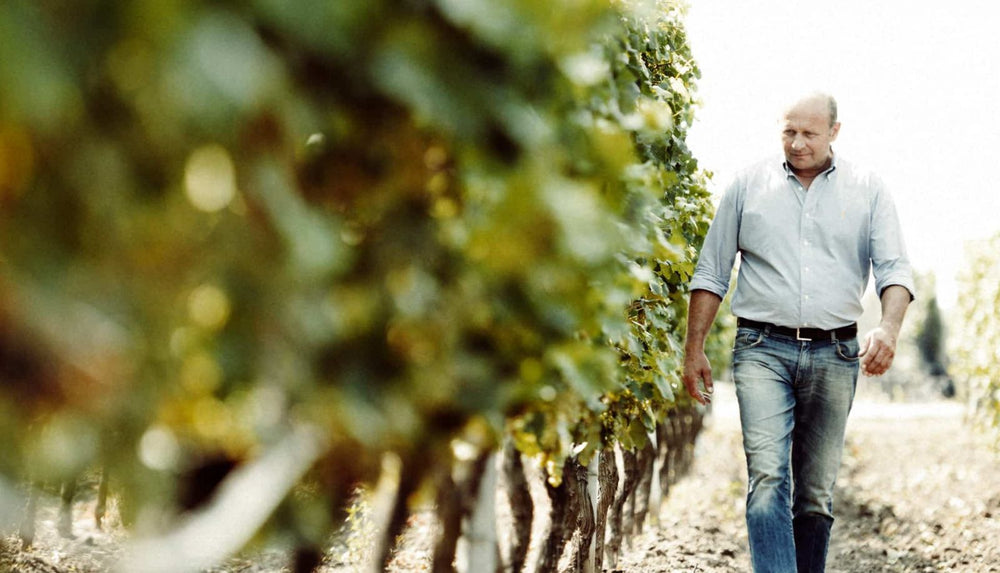 Weingut Hans Tschida