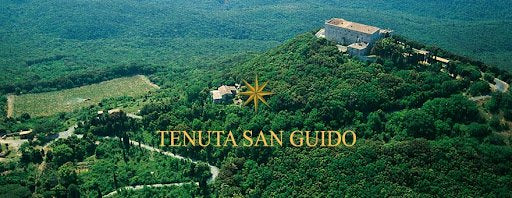 Tenuta san Guido