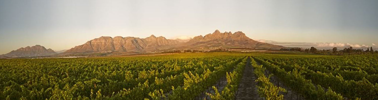 The Winery of Good Hope