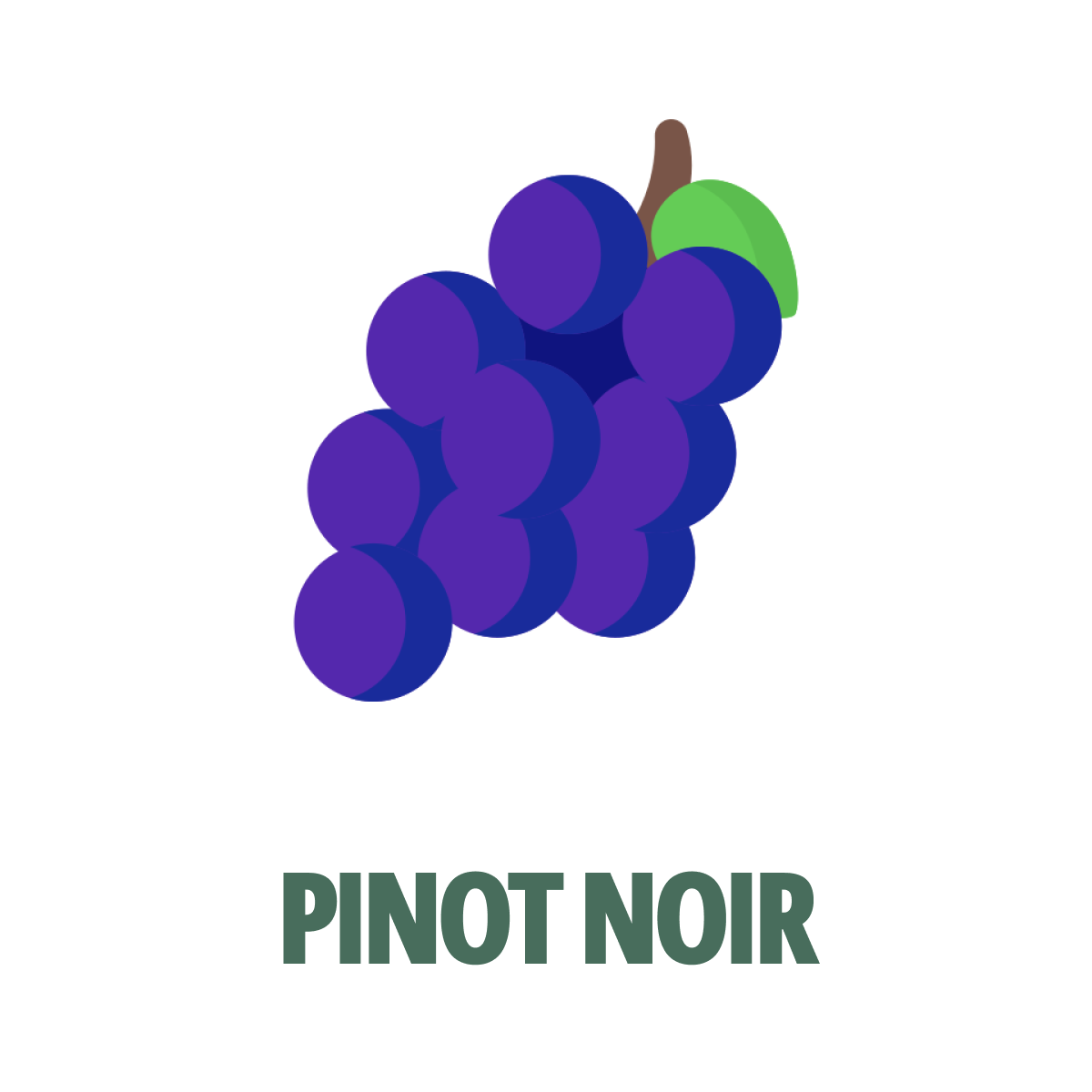 Buy Pinot Noir (Pinot Nero) Wine Online in Singapore – BoundbyWine