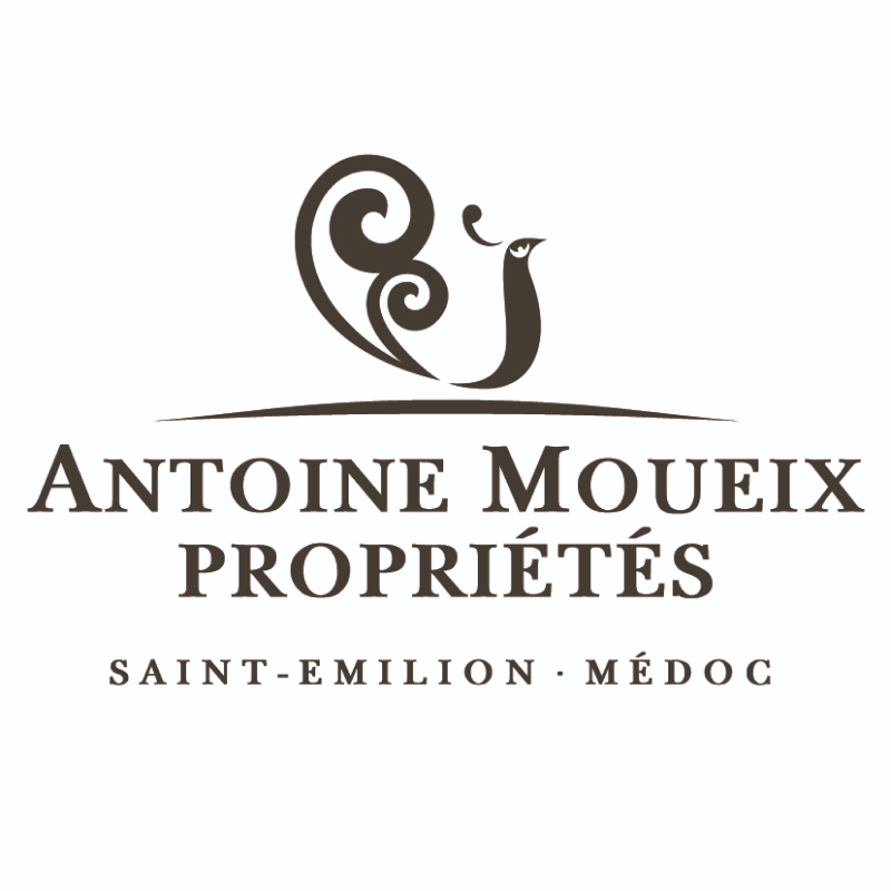 Antoine Moueix Properties