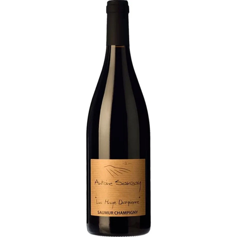 Domaine Antoine Sanzay Saumur-Champigny "La Haye Dampierre" 2019