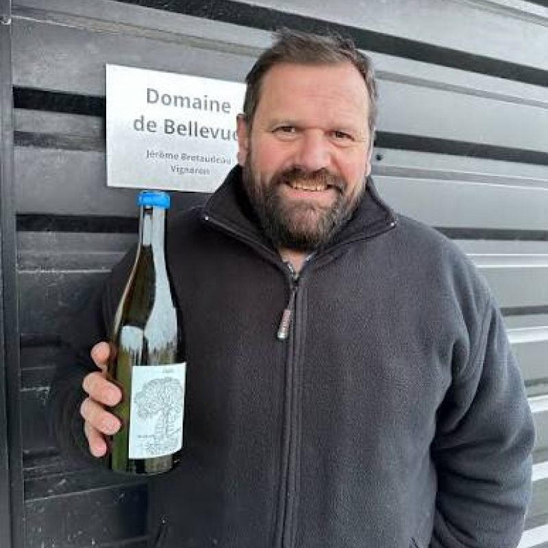 Domaine de Bellevue (Jérôme Bretaudeau)