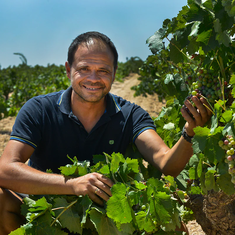 Bodegas y Vinedos Ponce